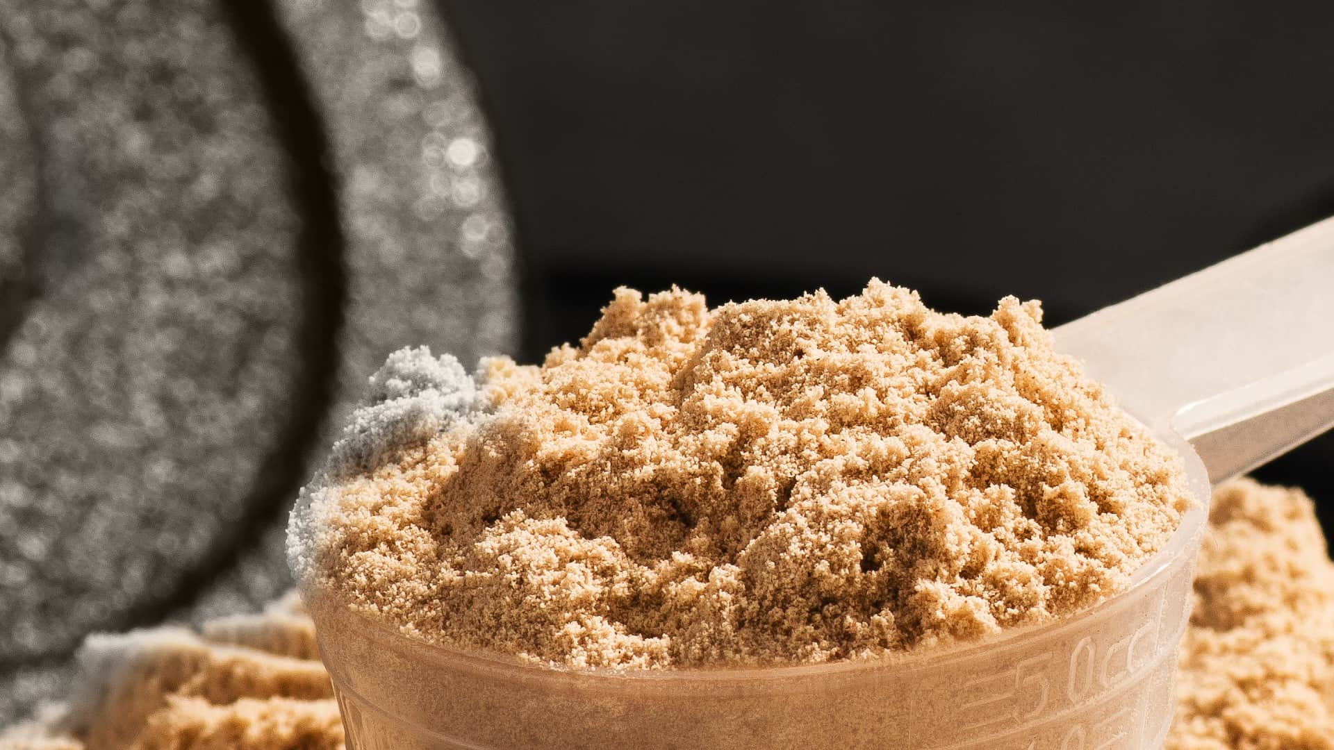 Qué es la Whey Protein y para qué sirve Qué es la Whey Protein y para qué sirve - Fit Soul